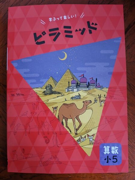 【最新版】 新品 ピラミッド問題集 算数 小5【解答付】
