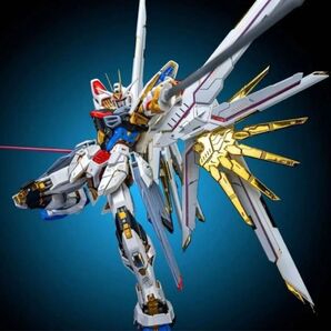 未組立品 MGEX 1/100 ストライクフリーダムガンダム用プラウドディフェンダー 海外他社製 ガンダム ガンプラ プラモデル