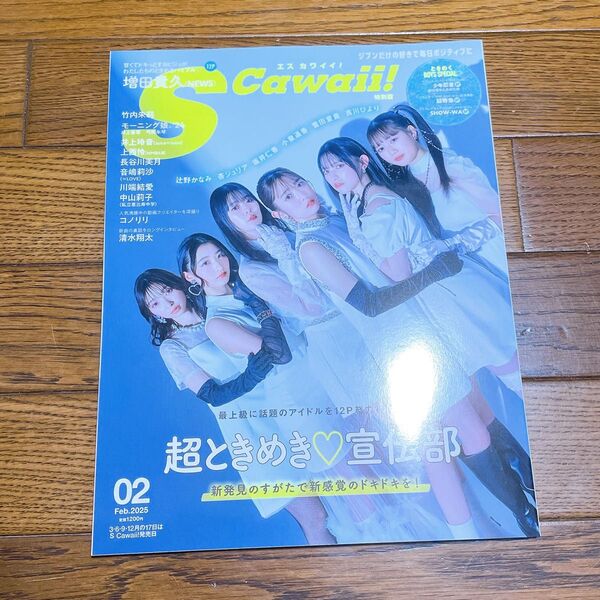 S Cawaii! エスカワイイ 2025年2月号 特別版 応募券無し