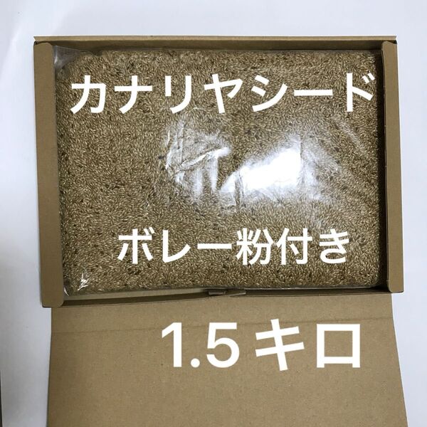 カナリヤシード 1.5キロ おまけのボレー粉付き
