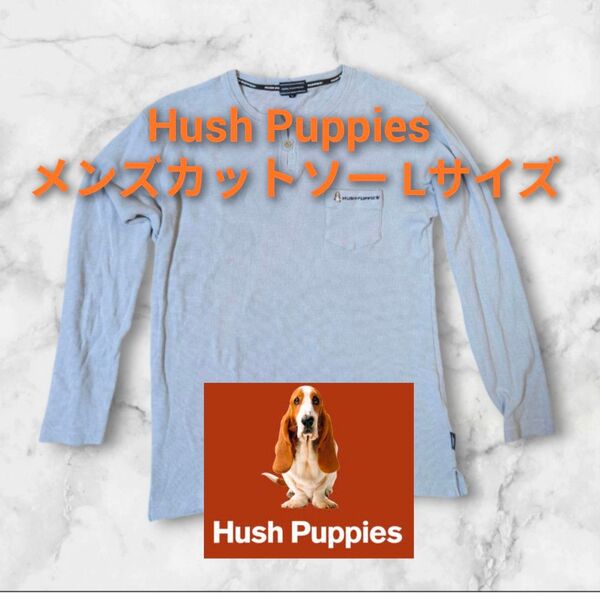 【美品】HASH PUPPIES メンズカットソー 長袖 水色 サイズL