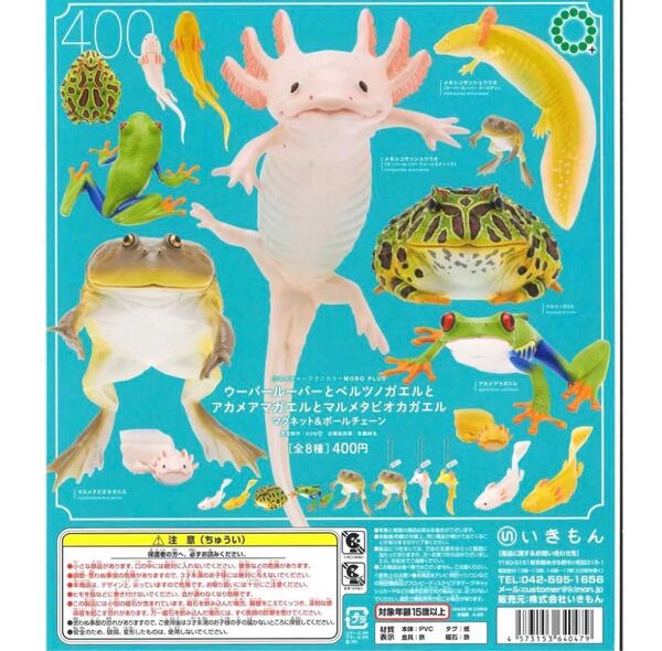 ウーパールーパーとベルツノガエルとアカメアマガエルとマルメタピオカガエルマグネット&ボールチェーン