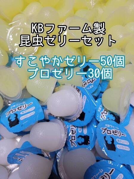 人気昆虫ゼリーセット KBファーム すこやかゼリー プロゼリー 計80個③ カブトムシ クワガタ オオクワ オオクワガタ ドルクスゼリー