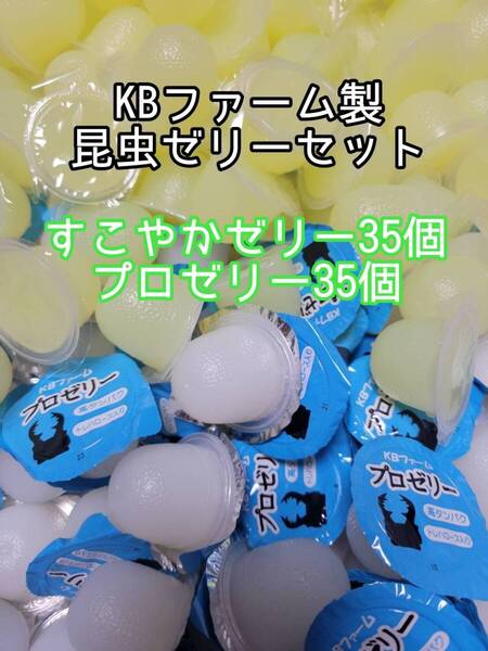 人気昆虫ゼリーセット KBファーム すこやかゼリー プロゼリー 計70個 カブトムシ クワガタ オオクワ オオクワガタ ドルクスゼリー