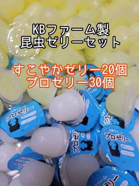 人気昆虫ゼリーセット KBファーム すこやかゼリー プロゼリー 計50個② カブトムシ クワガタ オオクワ オオクワガタ ドルクスゼリー