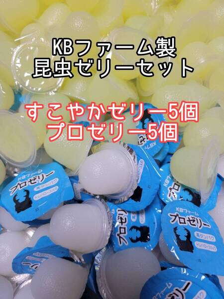 人気昆虫ゼリーセット KBファーム すこやかゼリー プロゼリー 計10個 カブトムシ クワガタ オオクワ オオクワガタ ドルクスゼリー