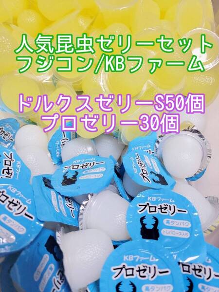 人気昆虫ゼリーセット KBファーム フジコン ドルクスゼリー プロゼリー 計80個② カブトムシ クワガタ オオクワガタ すこやかゼリー