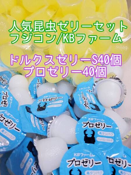 人気昆虫ゼリーセット KBファーム フジコン ドルクスゼリー プロゼリー 計80個 カブトムシ クワガタ オオクワガタ すこやかゼリー