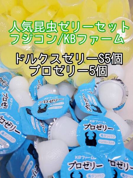 人気昆虫ゼリーセット KBファーム フジコン ドルクスゼリー プロゼリー 計10個 カブトムシ クワガタ オオクワガタ すこやかゼリー