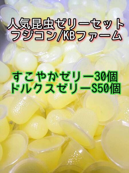 人気昆虫ゼリーセット KBファーム すこやかゼリー フジコン ドルクスゼリー 80個③ カブトムシ クワガタ オオクワ オオクワガタ