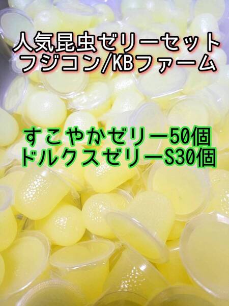 人気昆虫ゼリーセット KBファーム すこやかゼリー フジコン ドルクスゼリー 80個② カブトムシ クワガタ オオクワ オオクワガタ