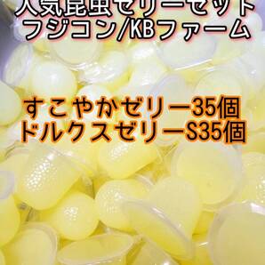 人気昆虫ゼリーセット KBファーム すこやかゼリー フジコン ドルクスゼリー 70個 カブトムシ クワガタ オオクワ オオクワガタ