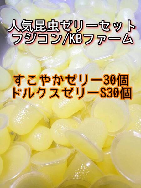 人気昆虫ゼリーセット KBファーム すこやかゼリー フジコン ドルクスゼリー 60個 カブトムシ クワガタ オオクワ オオクワガタ
