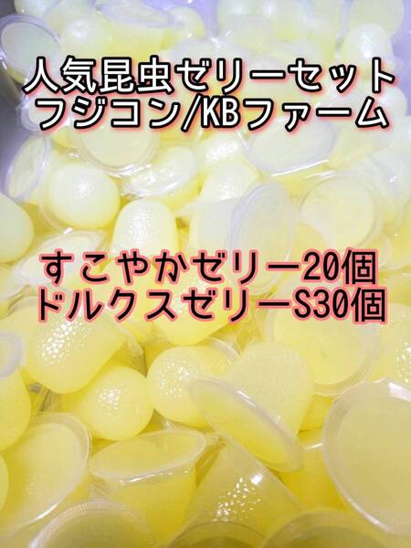 人気昆虫ゼリーセット KBファーム すこやかゼリー フジコン ドルクスゼリー 50個② カブトムシ クワガタ オオクワ オオクワガタ