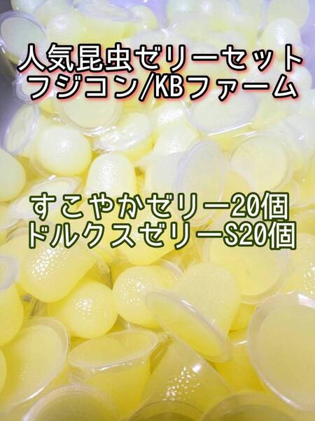 人気昆虫ゼリーセット KBファーム すこやかゼリー フジコン ドルクスゼリー 40個 カブトムシ クワガタ オオクワ オオクワガタ