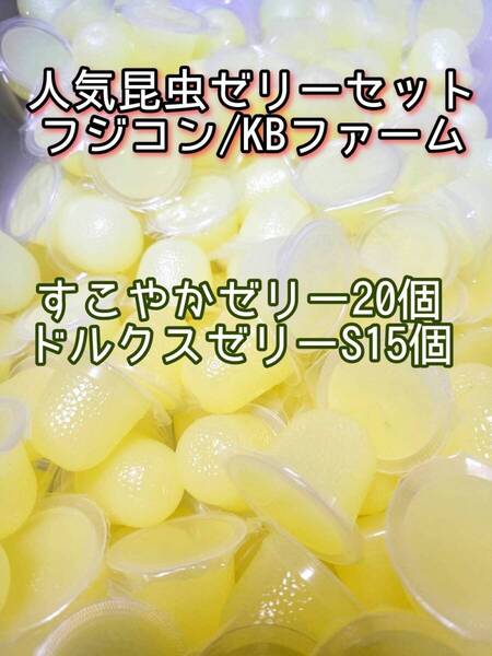 人気昆虫ゼリーセット KBファーム すこやかゼリー フジコン ドルクスゼリー 35個② カブトムシ クワガタ オオクワ オオクワガタ