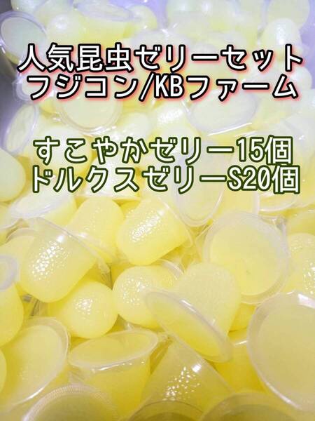 人気昆虫ゼリーセット KBファーム すこやかゼリー フジコン ドルクスゼリー 35個 カブトムシ クワガタ オオクワ オオクワガタ