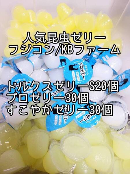 人気昆虫ゼリーセット KBファーム すこやかゼリー プロゼリー フジコン ドルクスゼリー 計80個③ カブトムシ クワガタ オオクワ