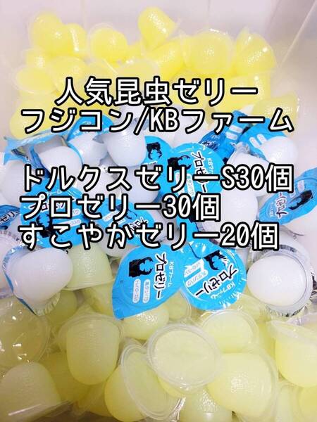 人気昆虫ゼリーセット KBファーム すこやかゼリー プロゼリー フジコン ドルクスゼリー 計80個② カブトムシ クワガタ オオクワ