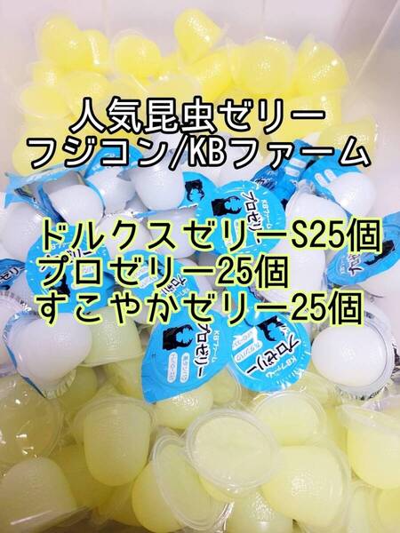 人気昆虫ゼリーセット KBファーム すこやかゼリー プロゼリー フジコン ドルクスゼリー 計60個⑦ カブトムシ クワガタ オオクワ