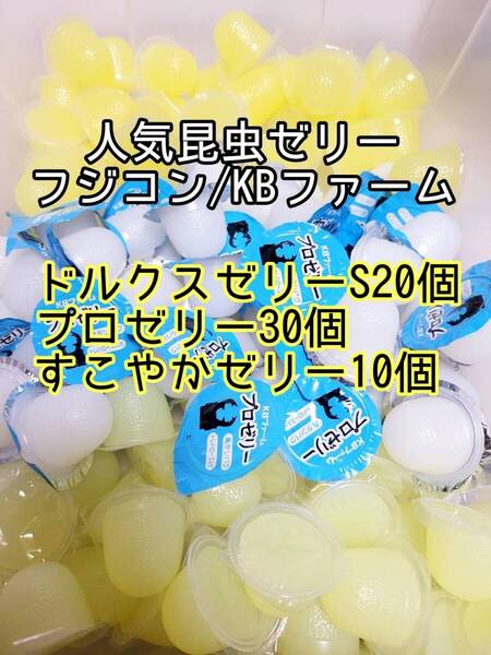 人気昆虫ゼリーセット KBファーム すこやかゼリー プロゼリー フジコン ドルクスゼリー 計60個④ カブトムシ クワガタ オオクワ