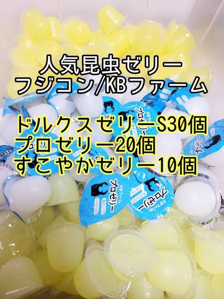 人気昆虫ゼリーセット KBファーム すこやかゼリー プロゼリー フジコン ドルクスゼリー 計60個③ カブトムシ クワガタ オオクワ