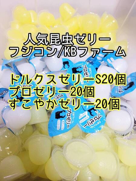 人気昆虫ゼリーセット KBファーム すこやかゼリー プロゼリー フジコン ドルクスゼリー 計60個 カブトムシ クワガタ オオクワ