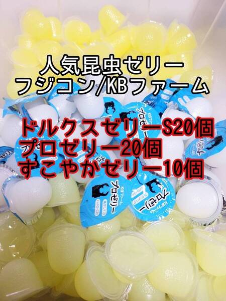 人気昆虫ゼリーセット KBファーム すこやかゼリー プロゼリー フジコン ドルクスゼリー 計50個③ カブトムシ クワガタ オオクワ
