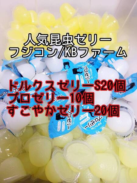 人気昆虫ゼリーセット KBファーム すこやかゼリー プロゼリー フジコン ドルクスゼリー 計50個② カブトムシ クワガタ オオクワ
