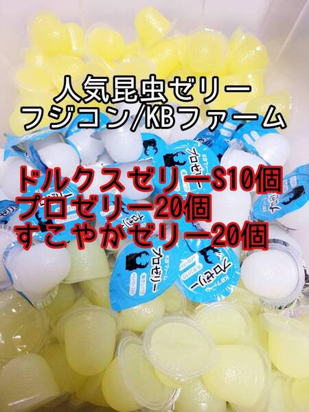 人気昆虫ゼリーセット KBファーム すこやかゼリー プロゼリー フジコン ドルクスゼリー 計50個 カブトムシ クワガタ オオクワ