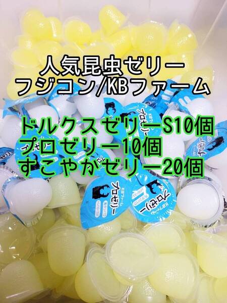 人気昆虫ゼリーセット KBファーム すこやかゼリー プロゼリー フジコン ドルクスゼリー 計40個③ カブトムシ クワガタ オオクワ