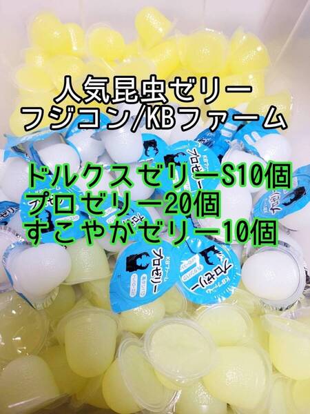 人気昆虫ゼリーセット KBファーム すこやかゼリー プロゼリー フジコン ドルクスゼリー 計40個② カブトムシ クワガタ オオクワ