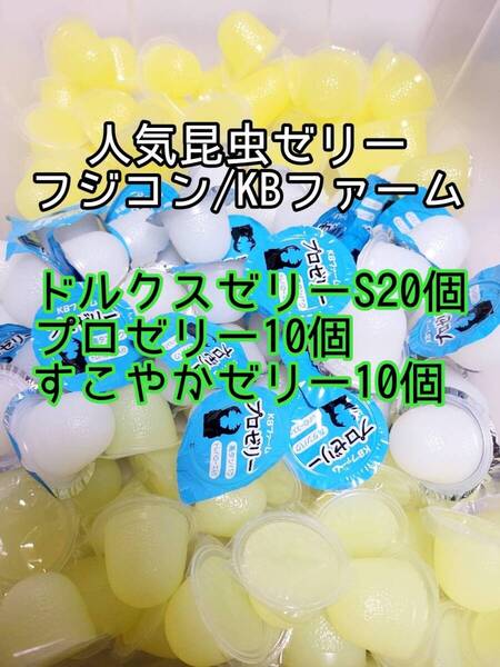 人気昆虫ゼリーセット KBファーム すこやかゼリー プロゼリー フジコン ドルクスゼリー 計40個 カブトムシ クワガタ オオクワ