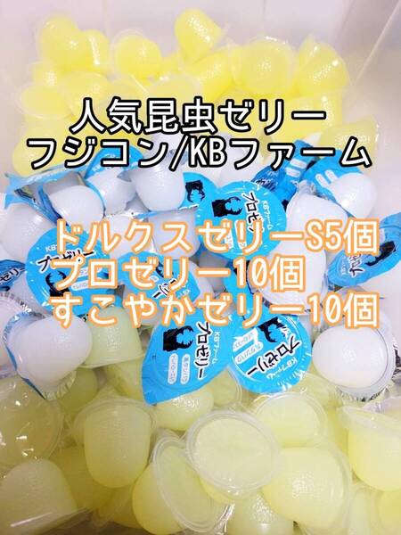 人気昆虫ゼリーセット KBファーム すこやかゼリー プロゼリー フジコン ドルクスゼリー 計25個 カブトムシ クワガタ オオクワ