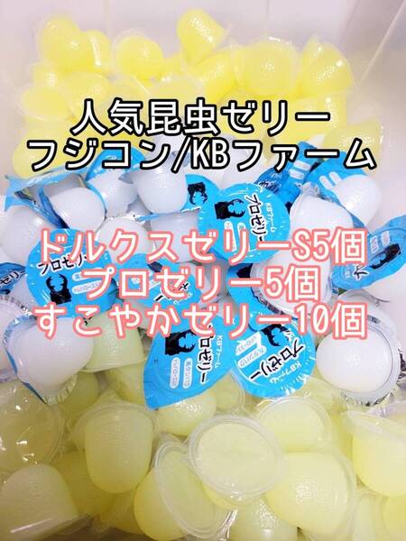 人気昆虫ゼリーセット KBファーム すこやかゼリー プロゼリー フジコン ドルクスゼリー 計20個 カブトムシ クワガタ オオクワ オオクワガタ