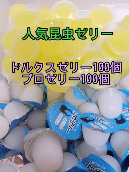 【人気昆虫ゼリーセット】フジコン ドルクスゼリー KBファーム プロゼリー計200個 オオクワ クワカブ カブトムシ すこやかゼリー