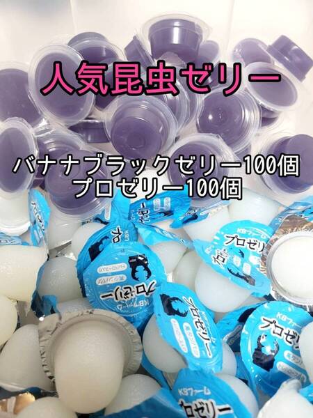 【人気昆虫ゼリーセット】フジコン バナナブラックゼリー KBファーム プロゼリー計200個 オオクワ クワカブ カブトムシ すこやかゼリー