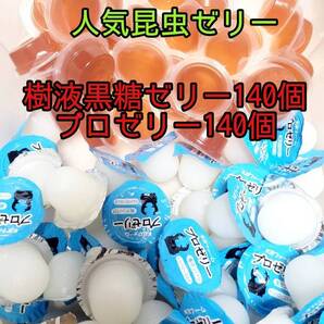 【人気昆虫ゼリーセット】フジコン 樹液黒糖ゼリー KBファーム プロゼリー計280個 オオクワ クワカブ カブトムシ すこやかゼリー