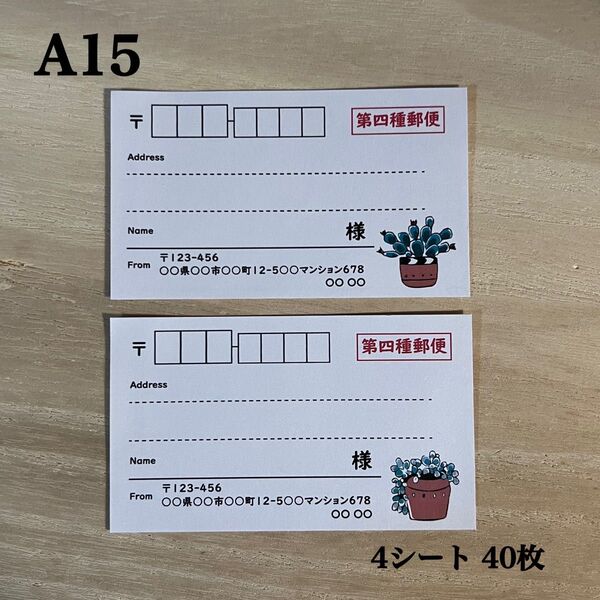 宛名シール*A15 多肉植物 サボテン 第四種郵便 40枚