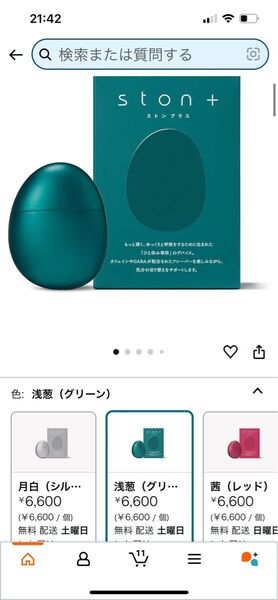 STON 本体 充電器 6600円