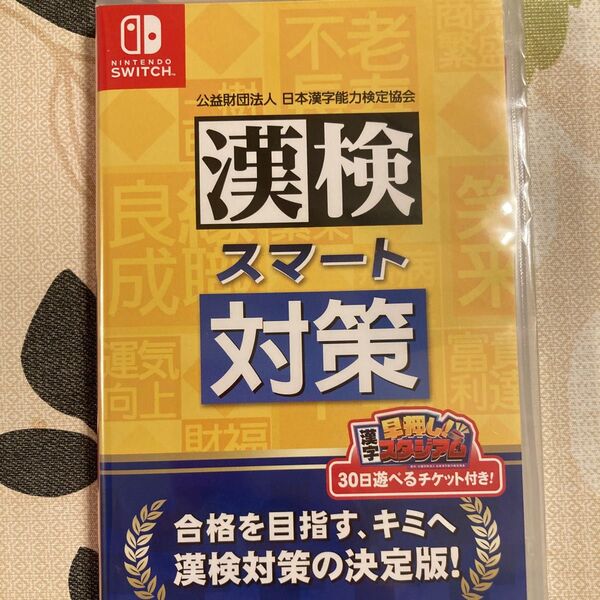 【Switch】 漢検スマート対策