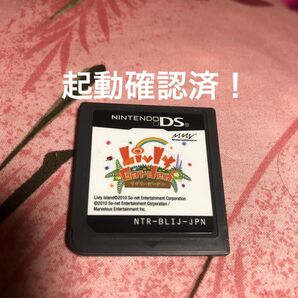 ニンテンドーDS DSソフト リヴリーガーデン ソフトのみ 起動確認済 起動確認画像あり