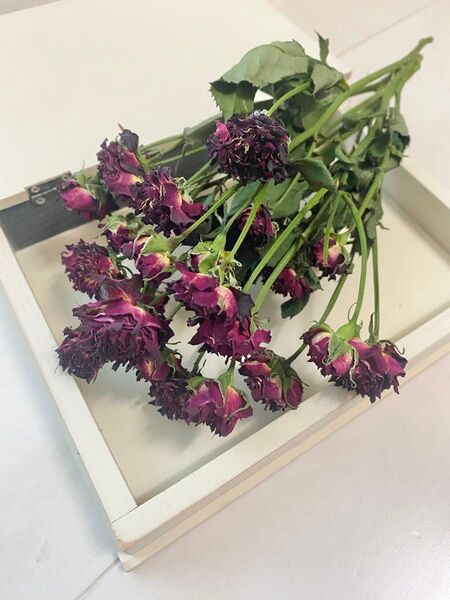 ドライフラワー 薔薇 バラ スプレー 赤 小分け
