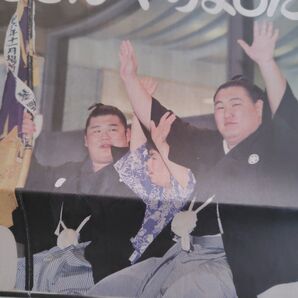 日刊スポーツ 豊昇龍 木竜皇 バウアー 他