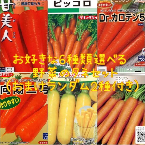 お好きな6種類選べる 野菜のタネセット おまけ2種付き