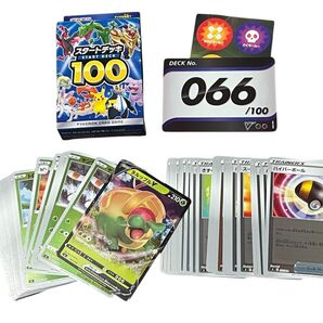 ◯ポケモンカード スタートデッキ100 066番 ミラー タルップルV ホイル ナンバー066 ※SR無し 【BELVERポケカ】