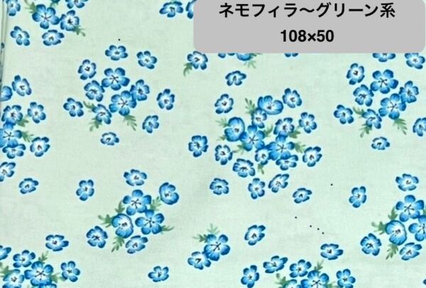 【108×50 】ネモフィラ柄〜グリーン系 オックス生地 綿100%
