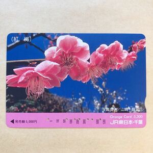 【使用済】 オレンジカード JR東日本 額面5300円　紅梅