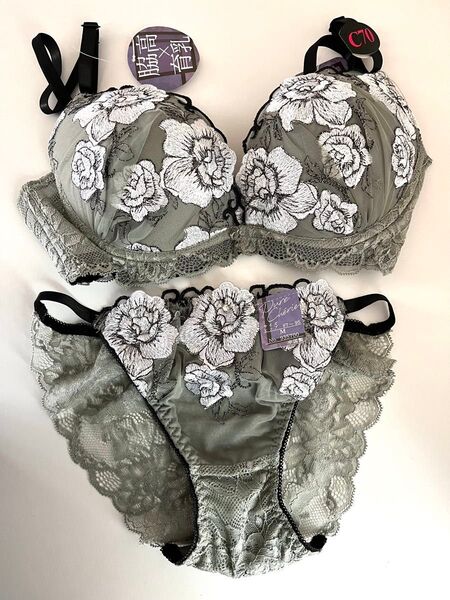 ブラジャーショーツセット パンツ 下着 脇高 育乳ブラ