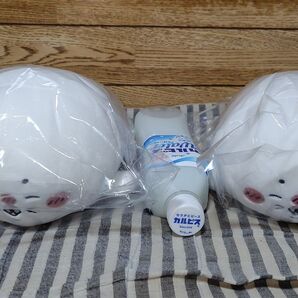 アザラシぬいぐるみくじ